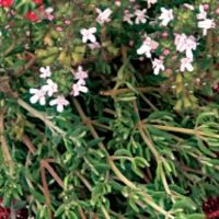 c72aab3a-4d3b-11e6-8470-bc5ff4508b6e_6dbec02d-872a-11e7-ab6a-bc5ff4508b6e-1200x800