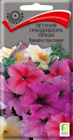 petunia_grandiflora_prizm_yarmarka_tsheslavia