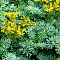 59c39147994a74a3360c8958b6812280